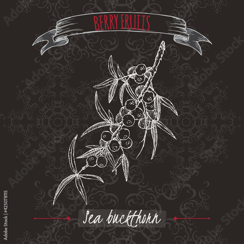 Hippophae rhamnoides aka Common sea buckthorn branch sketch on black background. Berry fruits series.