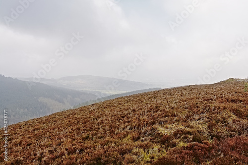 Cloudy Ticknock mountain landscape with dry brown heathland, Dublin, Ireland 