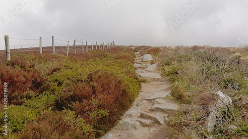 Rocky path along a fence on top off foggy Ticknock mountains with heath