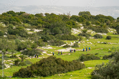 A Group of Tourists Hiking in Israel photo