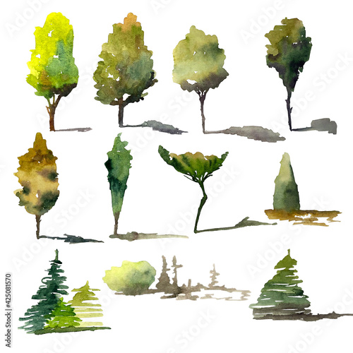 a set of watercolor yellow-green deciduous and coniferous trees and shrubs. Crown  trunk and shadow. Sketchy stylized tree for logo design  clothing decor  or cards. Isolated illustration 
