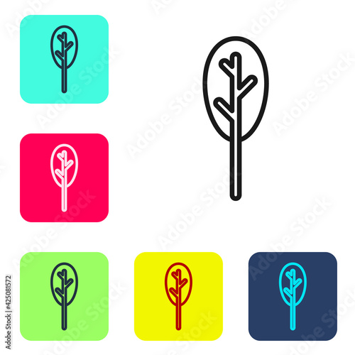Black line Spinach icon isolated on white background. Set icons in color square buttons. Vector