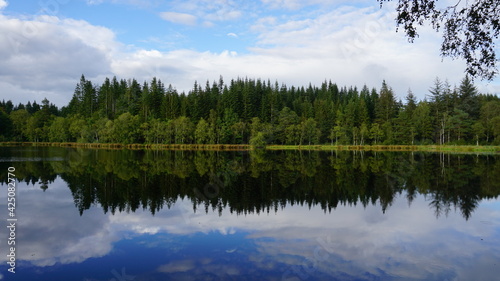 reflection of the forest in the lake 