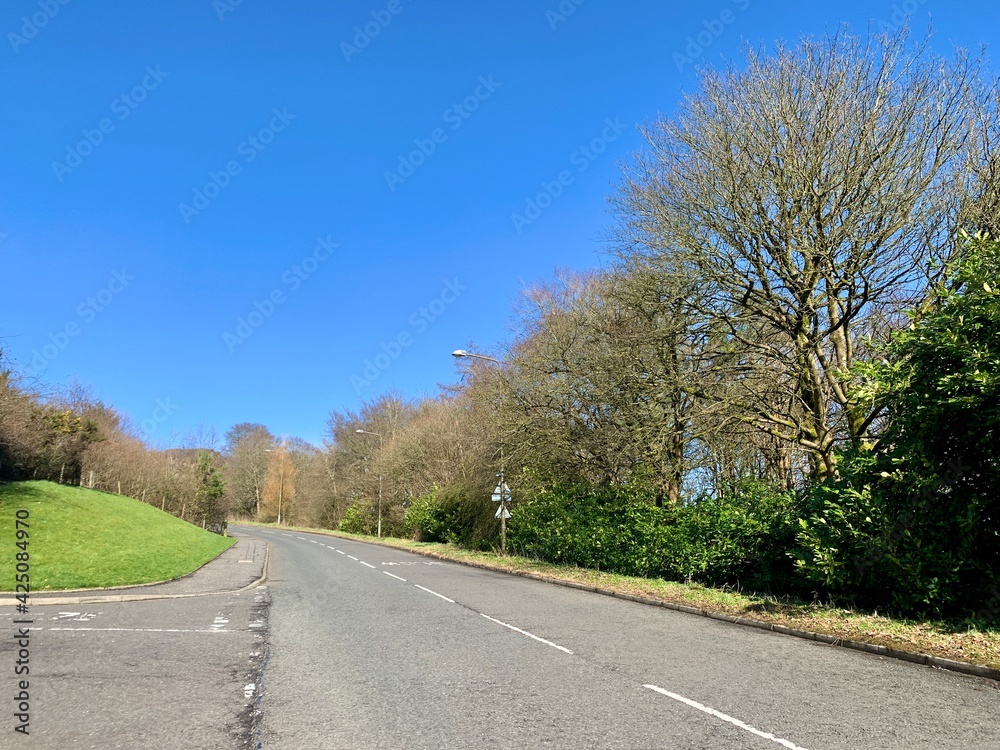 Fototapeta premium road in the countryside