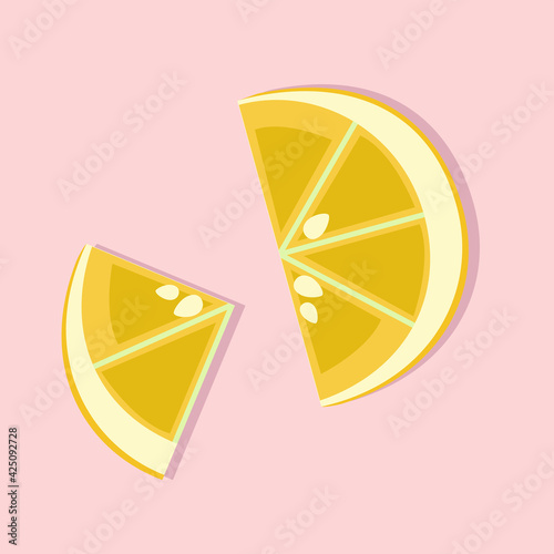 Lemon slices. Color vector illustration on a light background.