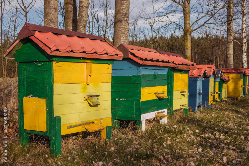 apiary, colorful beehives, apiculture,
beekeeping apiary, colorful beehives, apiculture,
beekeeping