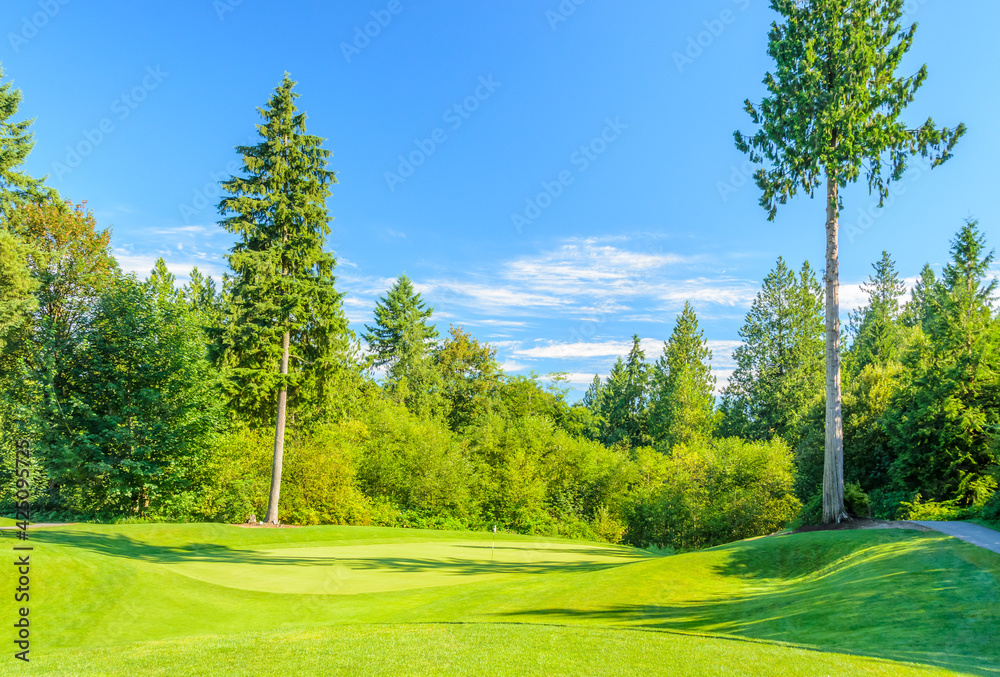 Golf course with gorgeous green.