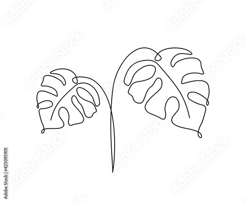 Continuous line of monstera leaf. Tropical leaves contour line drawing. One line outline illustration isolated on white. Modern Minimalist art.