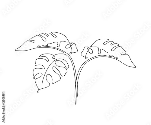 Abstract one line art leaf. Continuous line of monstera. Tropical leaves contou drawing. Modern Minimalist art. photo