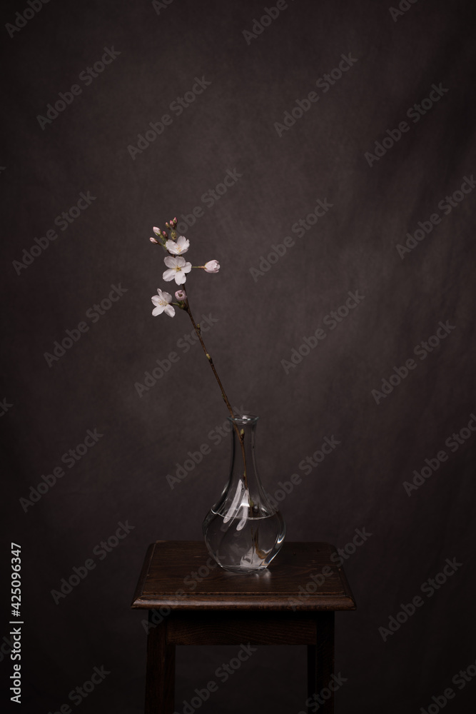 Blooming branch of white cherry blossom on a branch in a glass vase on stool in studio in classic painterly minimalistic setting Blooming branch of white cherry blossom on a branch in a glass vase on stool in studio in classic painterly minimalistic setting