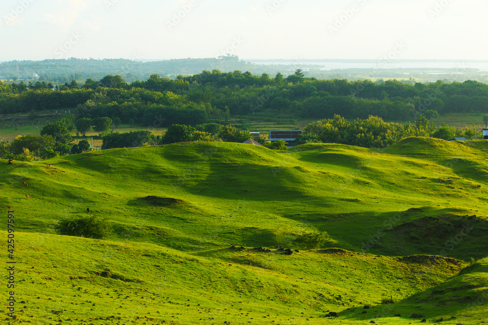 JENEPONTO INDONESIA, 23 March 2021: a hill overgrown with green grass