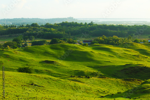 JENEPONTO INDONESIA, 23 March 2021: a hill overgrown with green grass photo