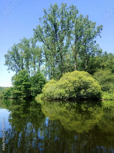 Le Blavet à Quistinic (Bretagne, Morbihan, France)