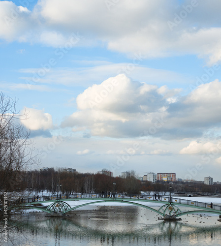 Bridge over the lake in the park panorama © Denis