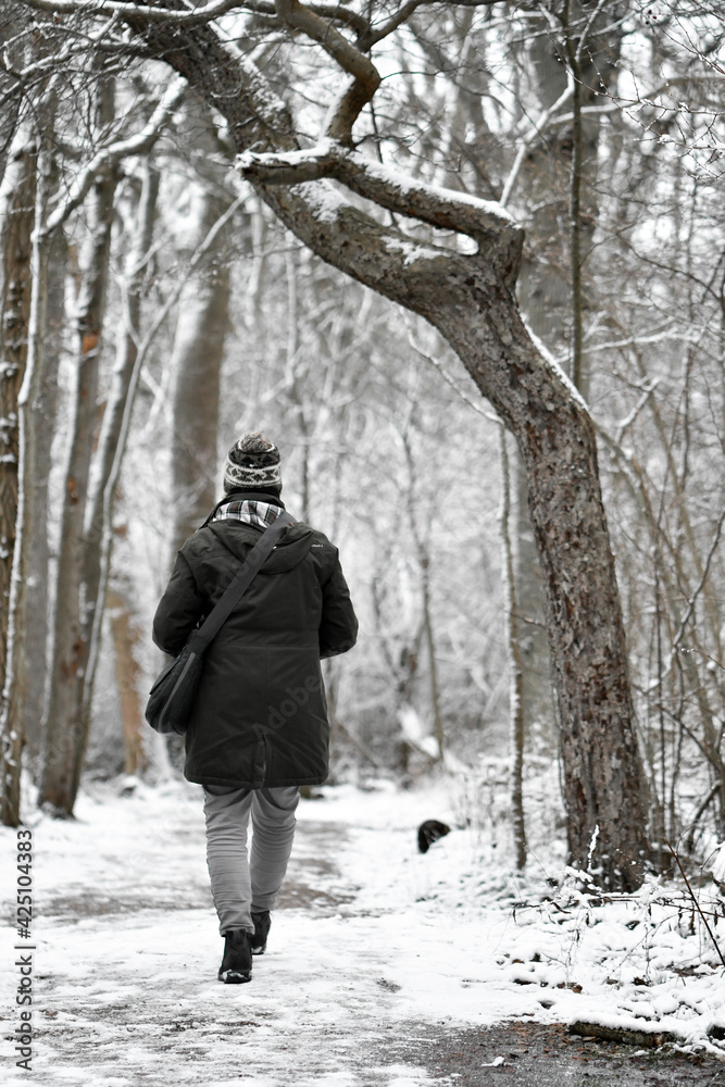 Woman from behind walking in forest Woman from behind walking in forest