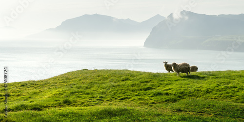 Fotografie Morning view on the summer Faroe islands
