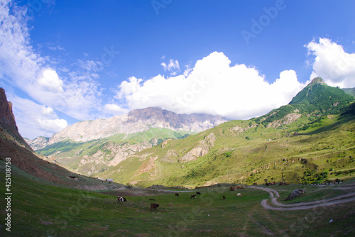High mountain road in the Bezengi Valley