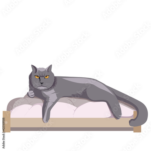 The British cat is lying in a comfortable cot