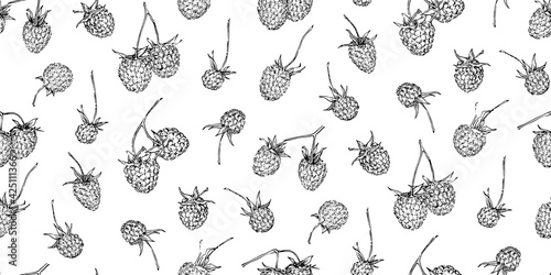 Hand drawn raspberry seamless pattern. Sketch style vector illustration. Black botanical ink painting endless backdrop on white background