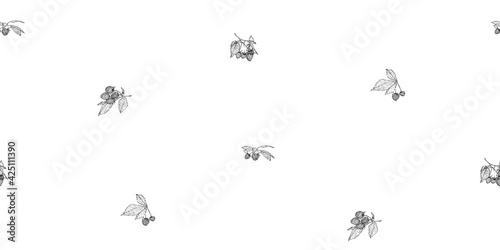 Hand drawn raspberry branches with berries seamless pattern. Sketch style vector illustration. Black botanical endless backdrop on white background