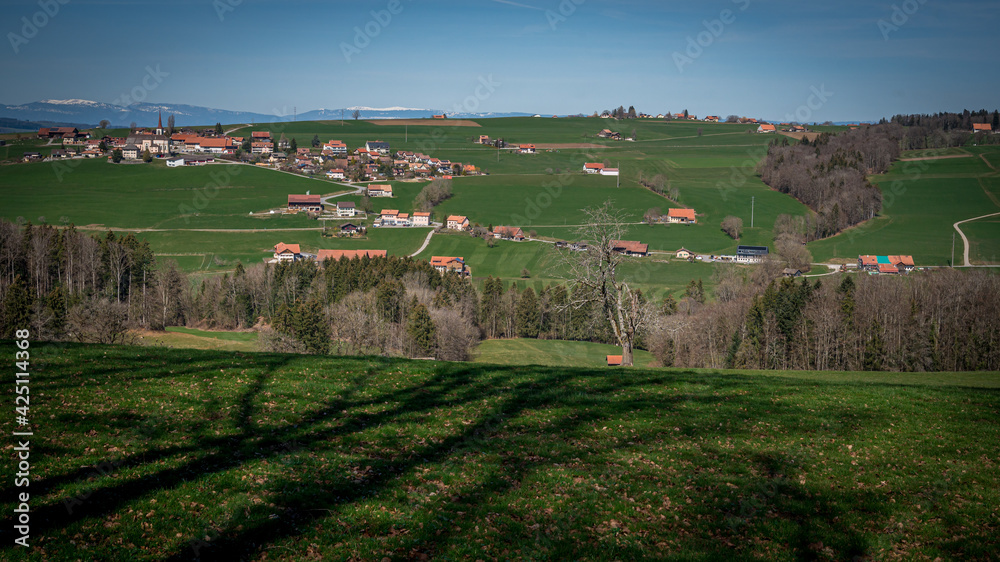 Idyllic landscape. Panoramic view of Saint Martin Village with agricultural field and trees, Switzerland.