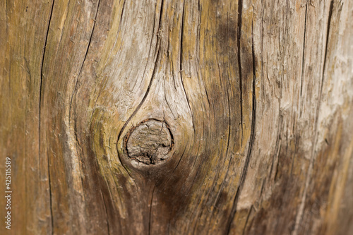 old wood texture