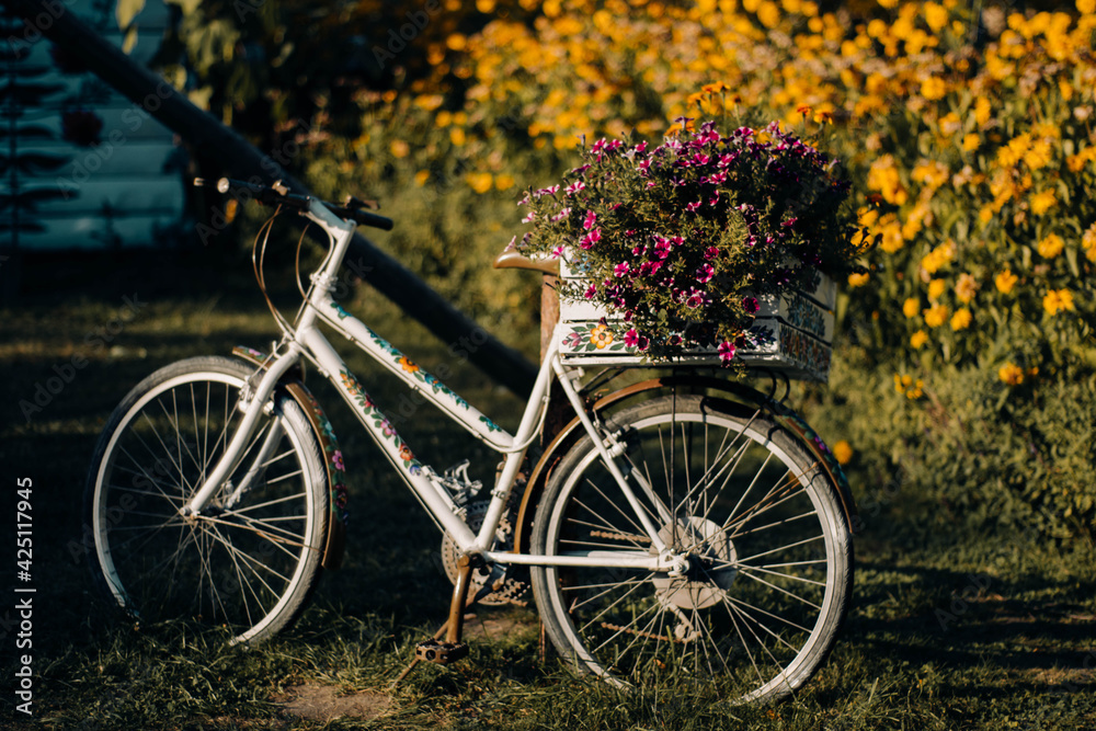 Decorated bike in traditional polish countryside, with basket full of flowers, slavic motive 