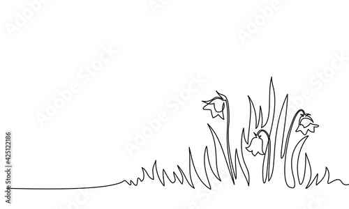 Abstract meadow line with grass and flowers bellflower.