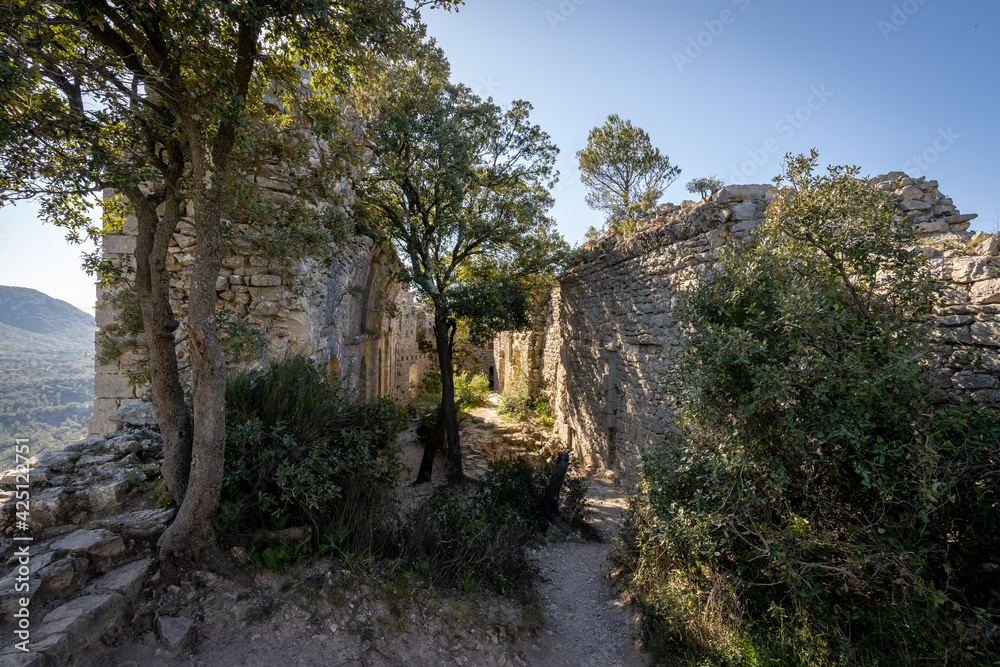 un château en ruine envahie par des arbres et de la végétation