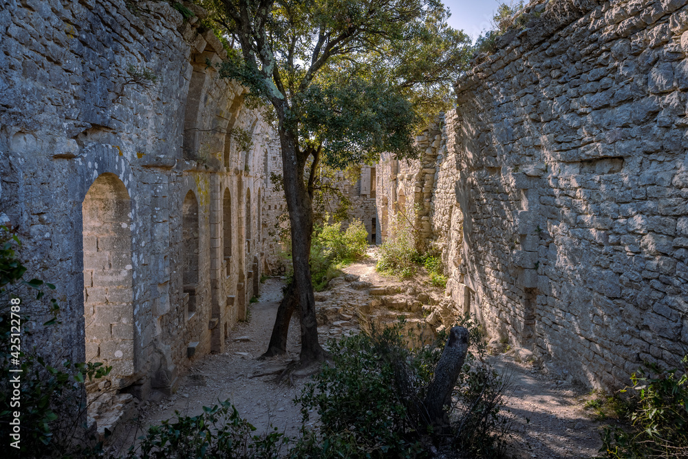 la cours intérieur d'un château en ruine occupée par des arbres 