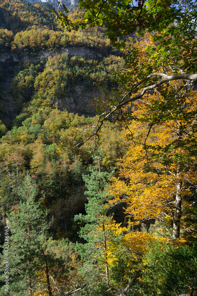 Landscape in the Ordesa y Monte Perdido National Park, in the Aragonese Pyrenees, located in Huesca, Spain Landscape in the Ordesa y Monte Perdido National Park, in the Aragonese Pyrenees, located in Huesca, Spain
