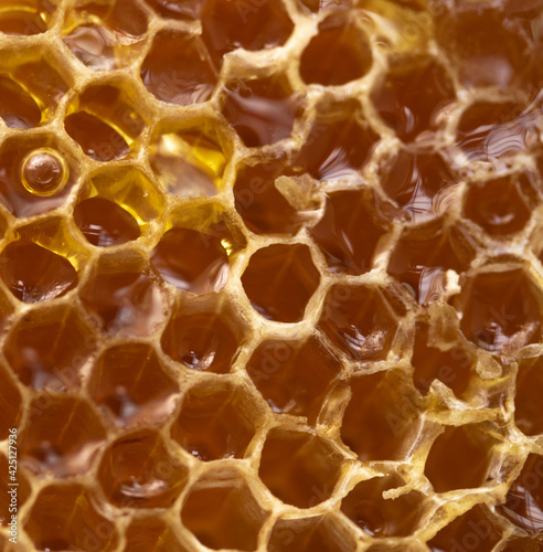 close up honeycomb with honey as very nice natural background