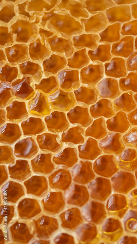 close up honeycomb with honey as very nice natural background