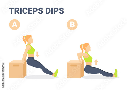 Triceps Dips Girl Home Workout Exercise Guidance. Colorful Concept of Girl Weight Loss Workout.