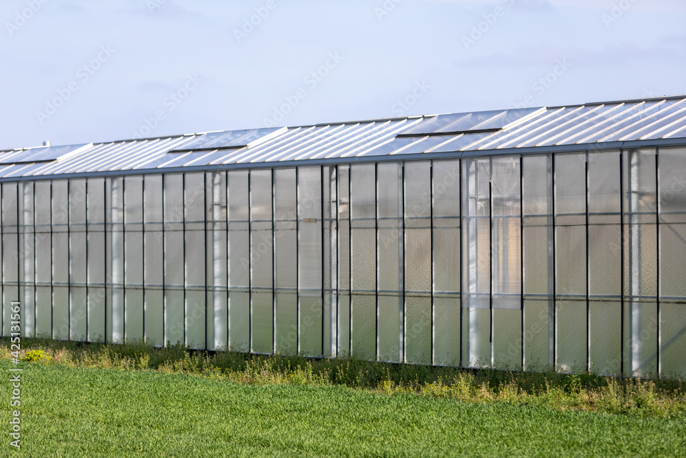 side view of a greenhouse, glasshouse to grow plants
