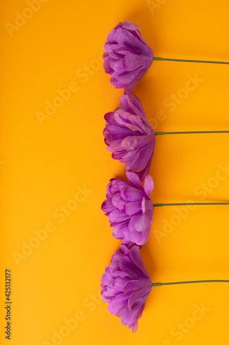 Fioletowe kwiaty na żołtym tle
