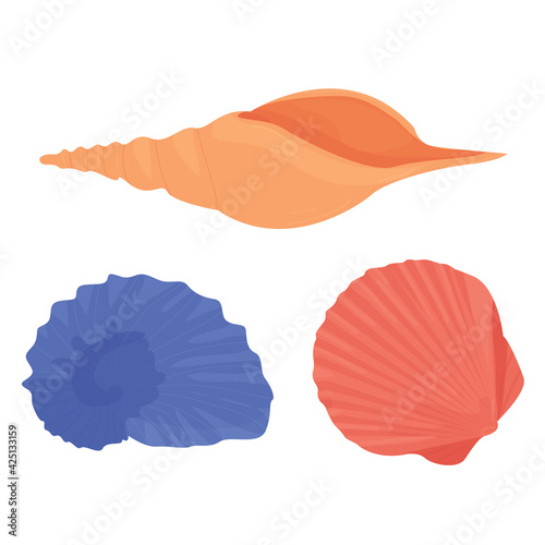 various sea shells isolated on white background. marine fauna. beach. Bivalve molluscs. Cephalopods. Gastropods. filling the aquarium. vektor flat.