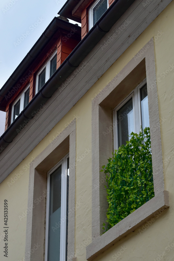 Fototapeta premium window garden in a city apartment in Europe 