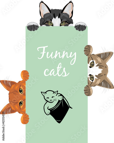 Three funny spying cats. Design for label