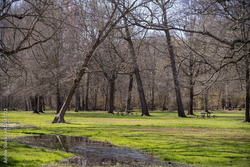 Obraz premium Great Falls National Park