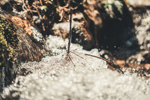 The river passing through the barriers that nature places to move on  © Hugo