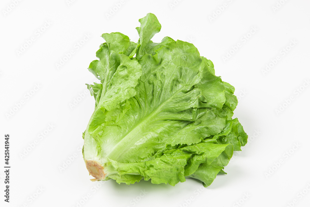 Fresh green Lettuce leaves, Salad leaf isolated on white background. Fresh green Lettuce leaves, Salad leaf isolated on white background.