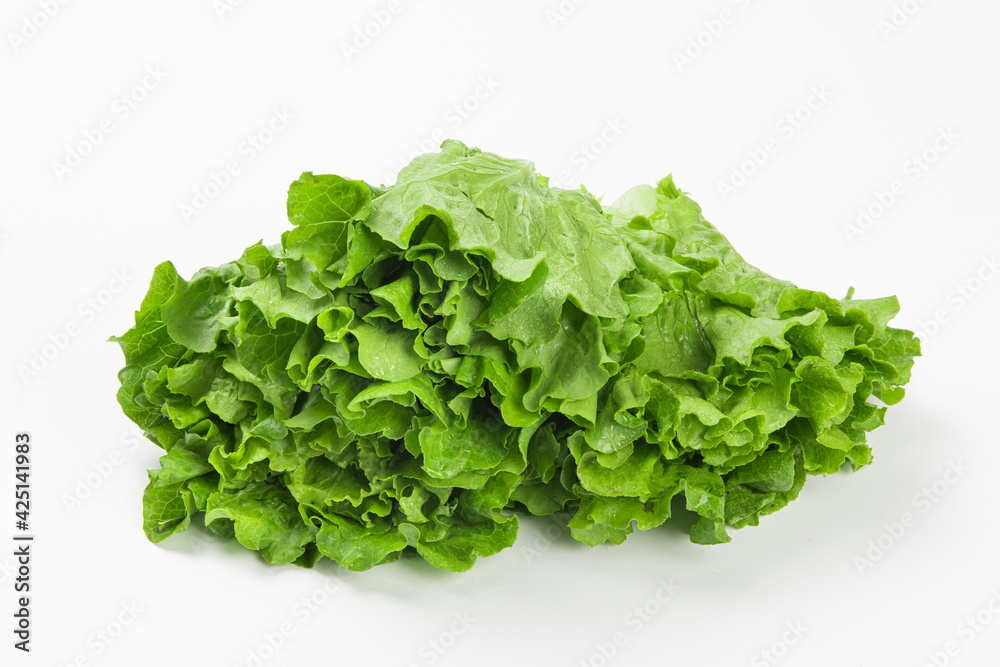 Fresh green Lettuce leaves, Salad leaf isolated on white background. Fresh green Lettuce leaves, Salad leaf isolated on white background.