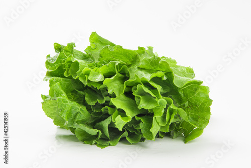 Fresh green Lettuce leaves, Salad leaf isolated on white background.