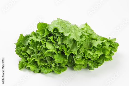 Fresh green Lettuce leaves, Salad leaf isolated on white background.