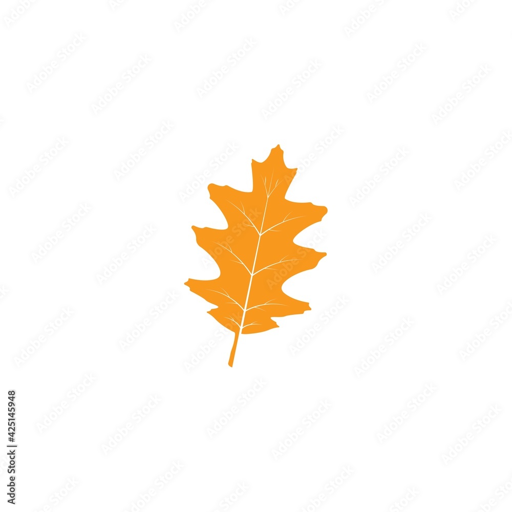 Fototapeta premium oak leaf vector icon simple illustration