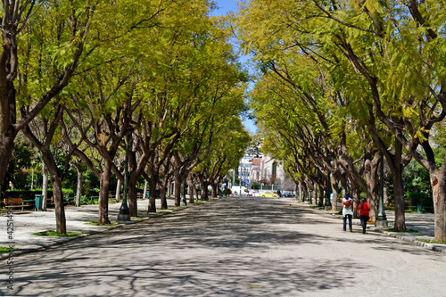 Tree lined road near Zappeion in Athens' National Garden.