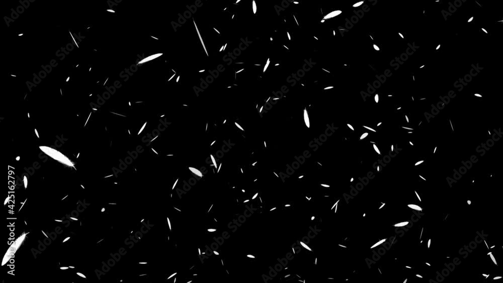 白い羽根 舞い上がる パーティクル モーショングラフィックス
白い羽根 舞い上がる パーティクル モーショングラフィックス