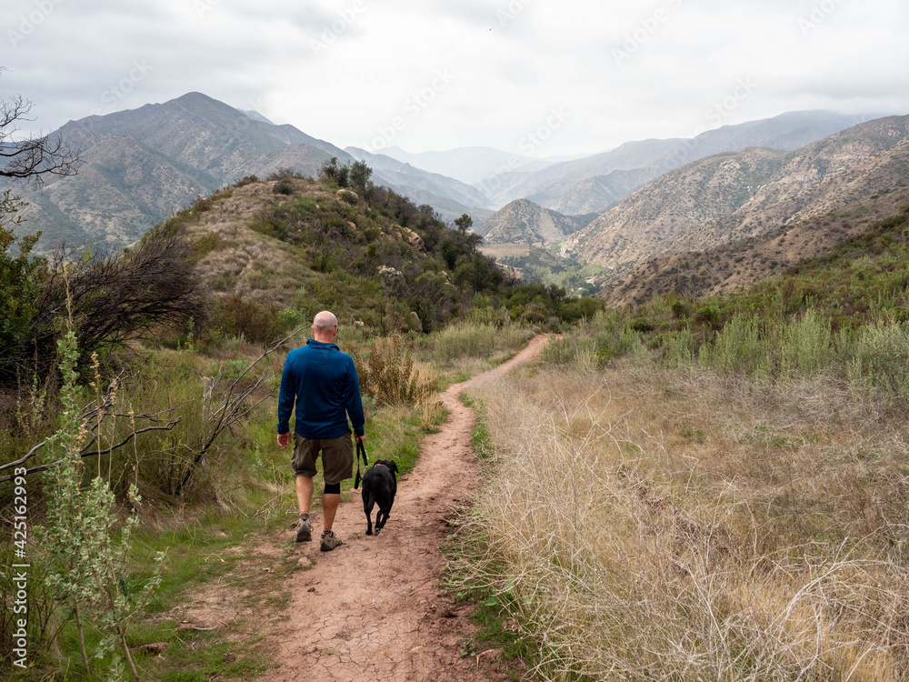 Man walking labrador retriever dog on trail in Ojai Valley with Topa Topa Mountains in the distance on an overcast day Man walking labrador retriever dog on trail in Ojai Valley with Topa Topa Mountains in the distance on an overcast day