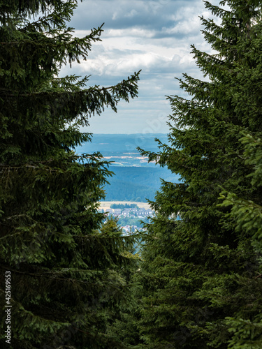 Looking through two conifer trees into a small village. Mountain landscape with a lot of green plants and a cloudy sky. Fields and forests are visible in the nature. Small buildings are in the valley. photo